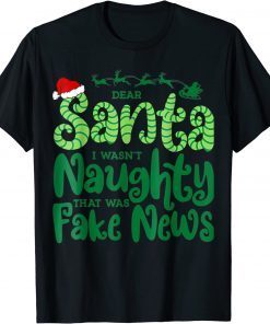 Dear Santa Fake News Trump Christmas Xmas Gift For Adults T-Shirt